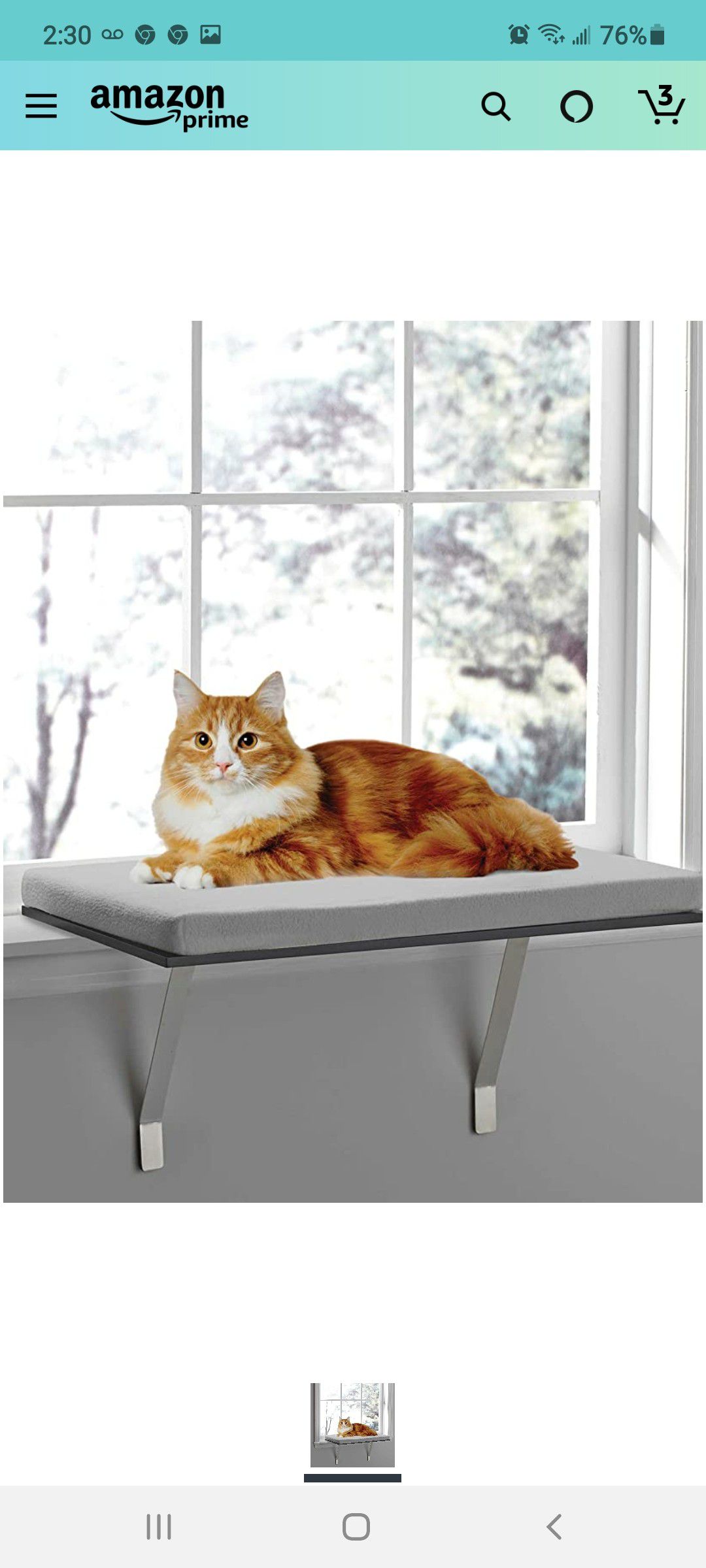 Deluxe Pet Cat Window Seat Perch