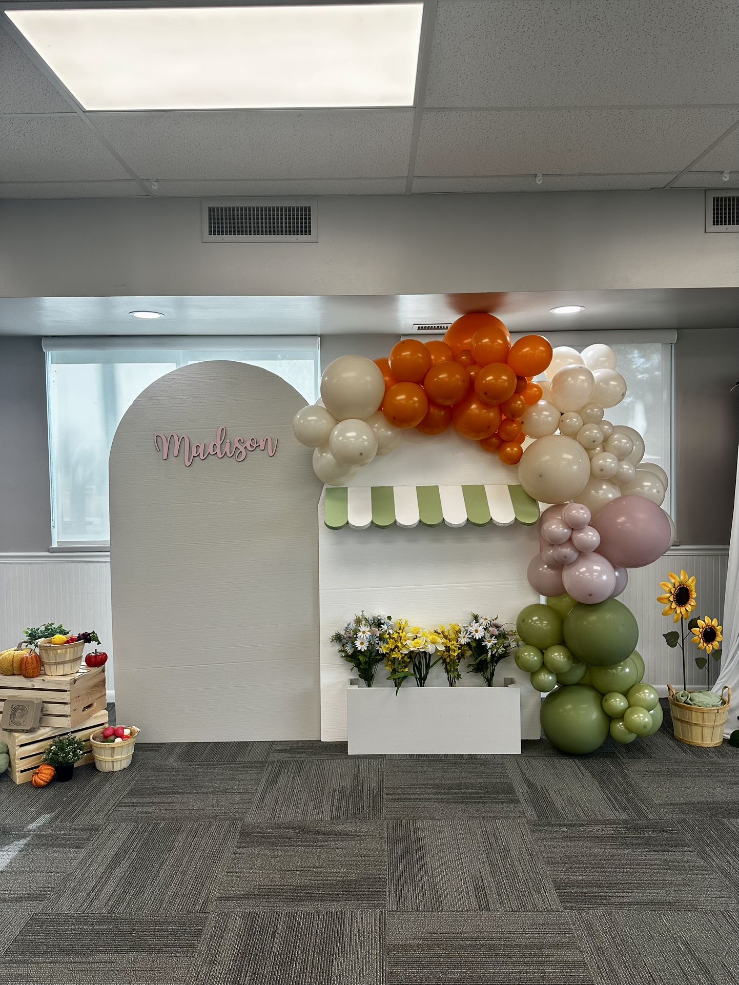 2 Foam Backdrops For Photos/parties