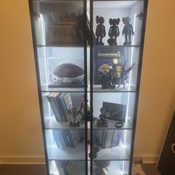 Modern LED Bookshelf + Memorabilia Case