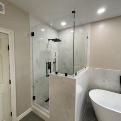 Frameless Shower Door 