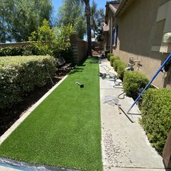 Artificial Grass
