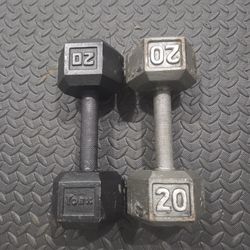 20 Pounds Dumbbells Set Weightlift Workout Weight Exercise Dumbells Solid Hex 20lbs 
