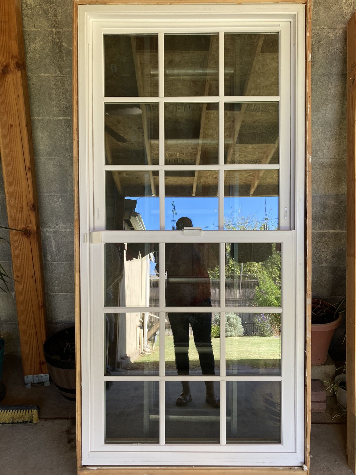 Window