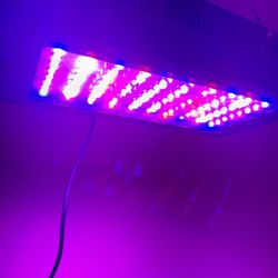 Grow Lights