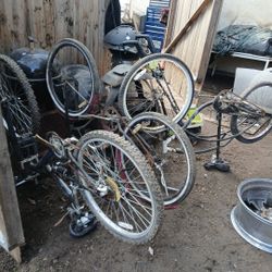 26" Beach Cruisers And 26" Mountains  Bikes