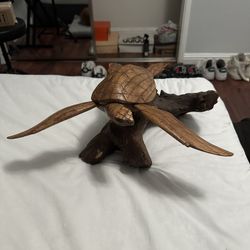 Hawaiian Wood Turtle