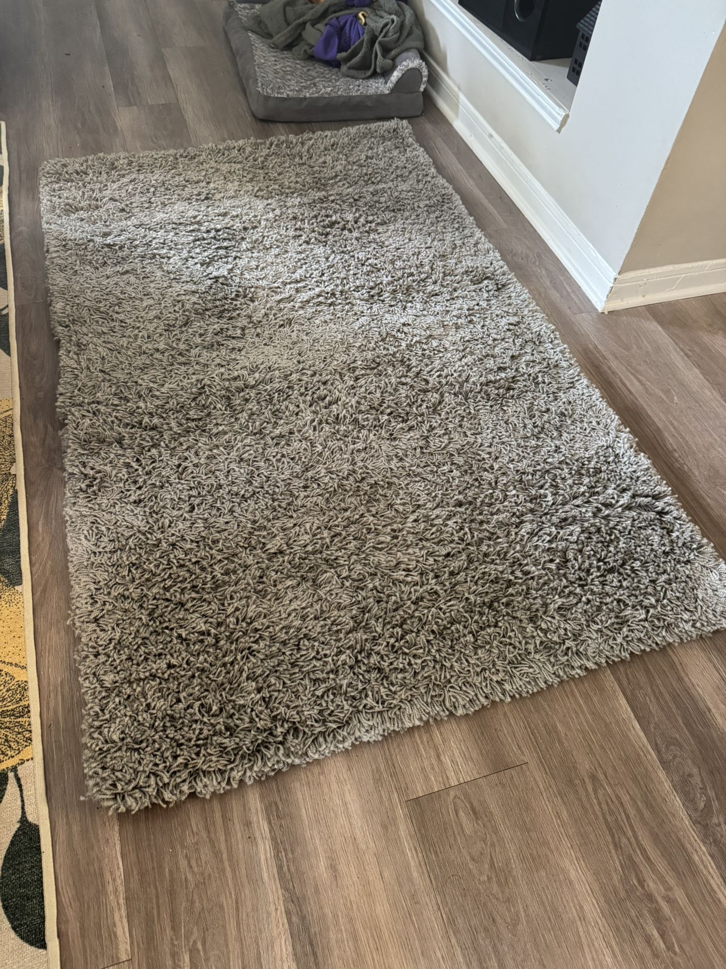 Shag Area Rug