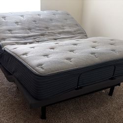 Power Reclaiming Bed frame 