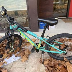Cannandale Kid’s Bicycle Trail 20