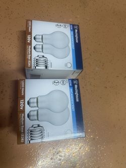 Bulbs 