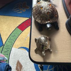 3 Turtles 🐢 Very Cute 