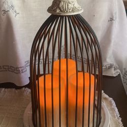 Vintage Distressed Bird Cage 