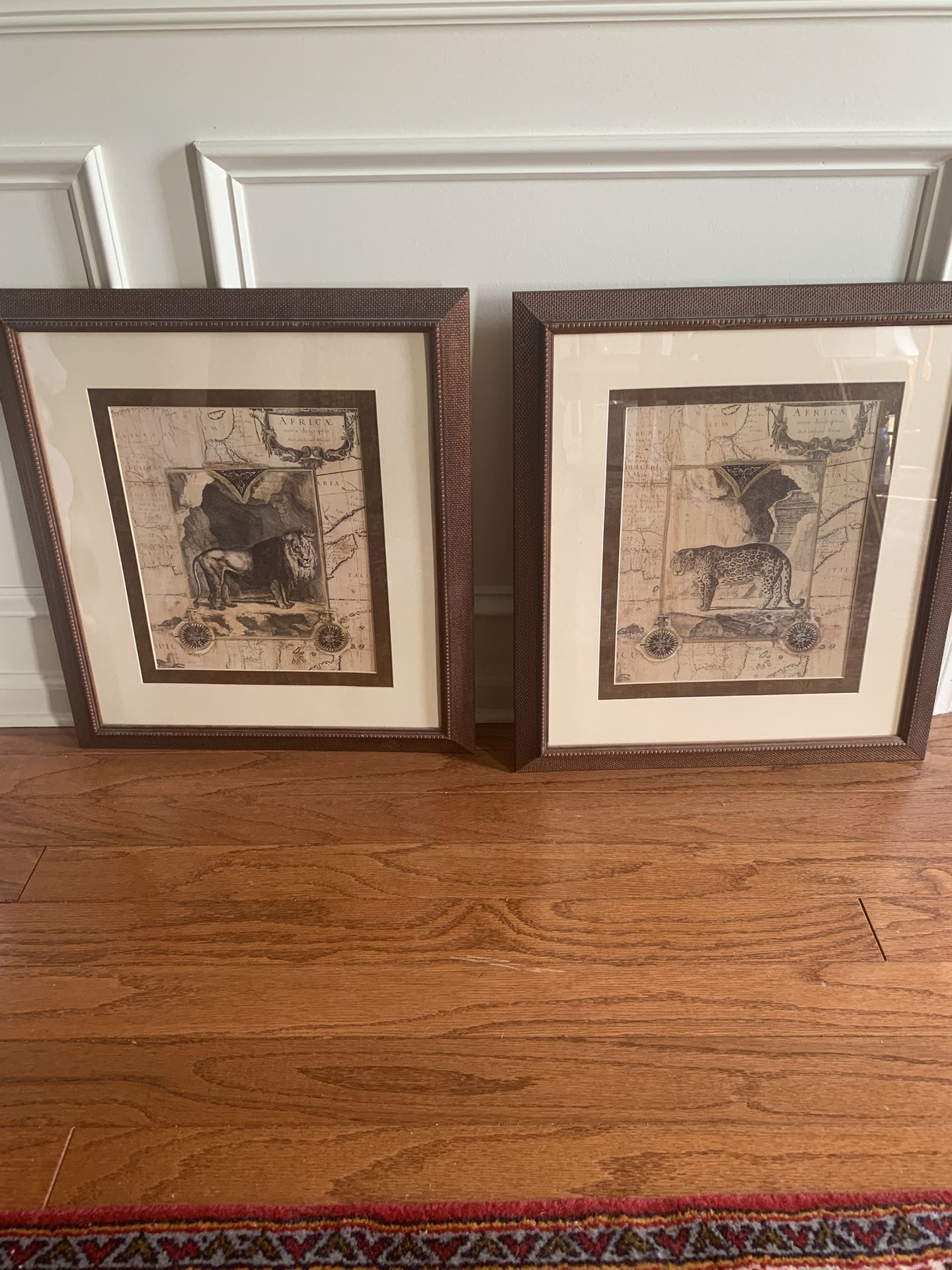 Lion And Leopard Framed Wall Art - Set Of 2