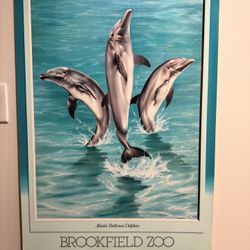 Brookfield Zoo Atlantic Bottlenose Dolphins Continuous Tone Poster