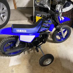 Yamaha PW50