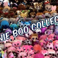 Beanie Boo Collection 