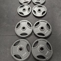 Fitness Gear Olympic Plates