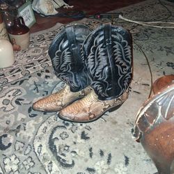 Snake  Skin  Boots 