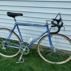 Vintage Performance Strada Bike
