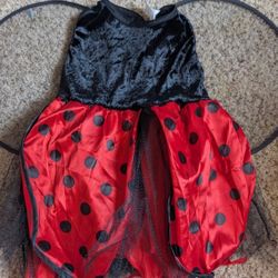 New Dress