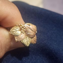 Anillo