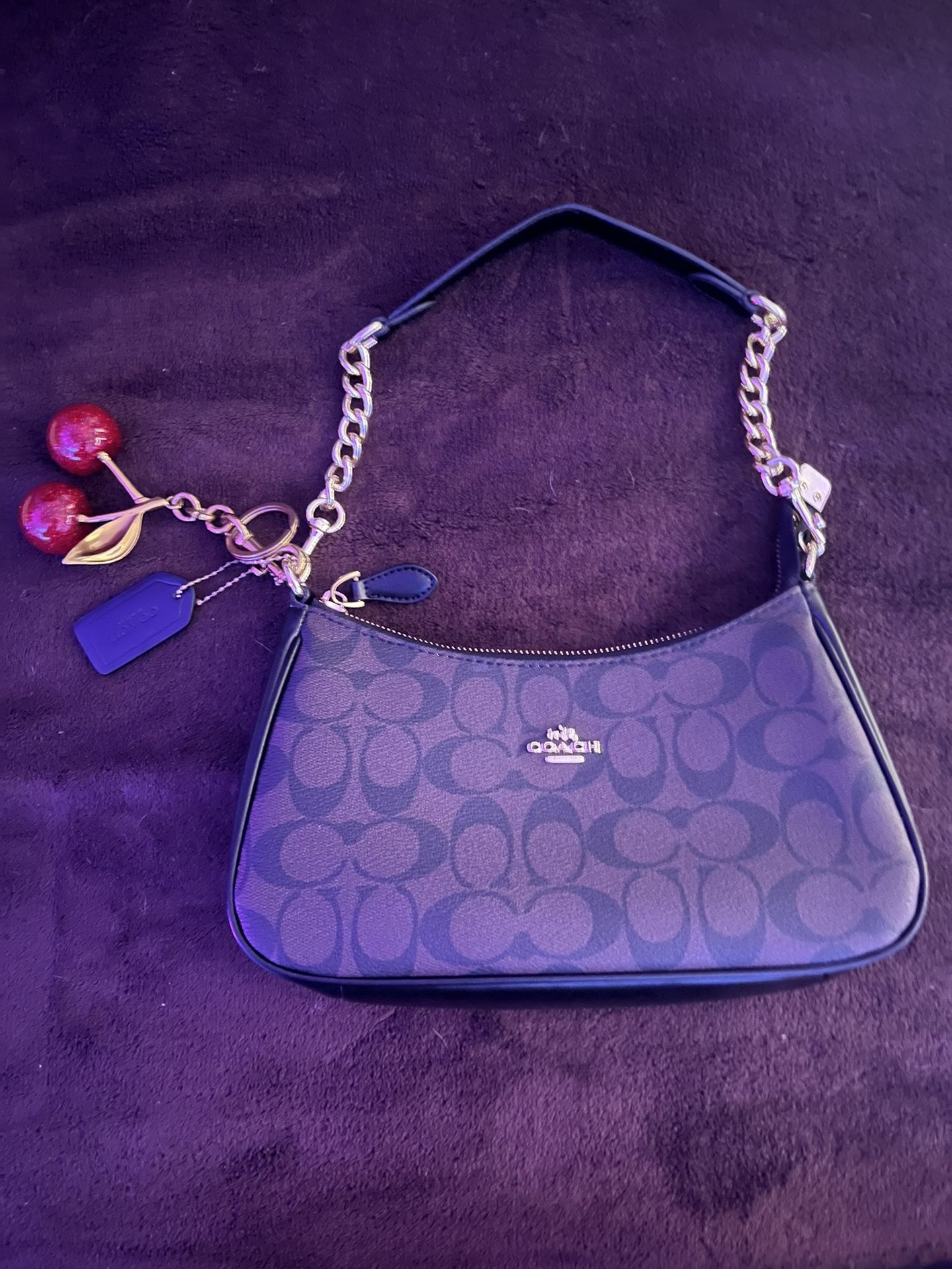 Coach Teri Shoulder Bag