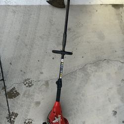 Homelite Needs Head Replace 