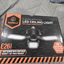 Led Ceiling Light $10