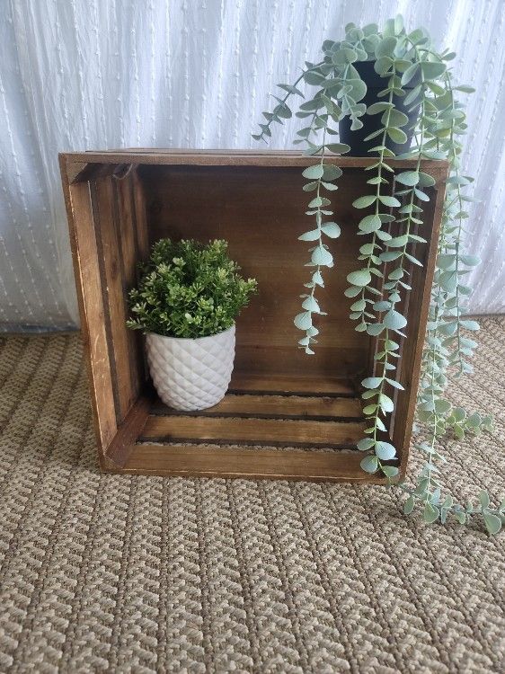 Brown Super Cute Crate For Sale