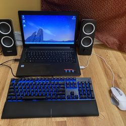 Laptop And Peripherals