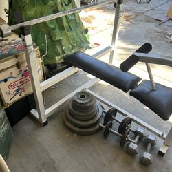 Workout bench / weights 