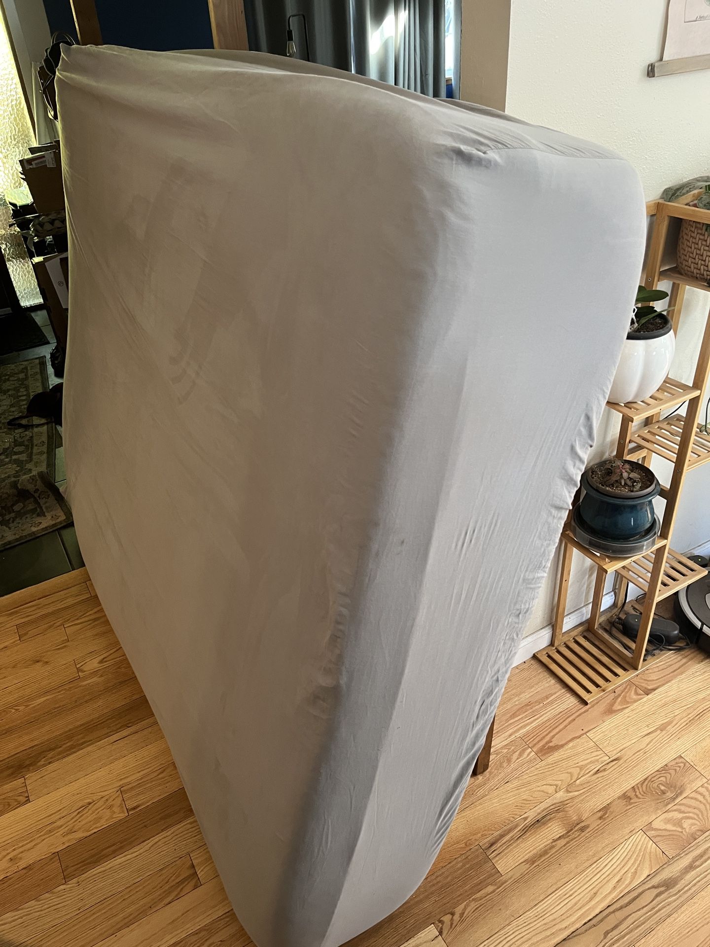 Queen Mattress And 5” Box Spring