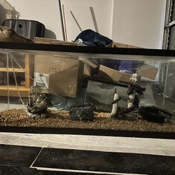 55 Gallon Fish Tank W/ Accessories 