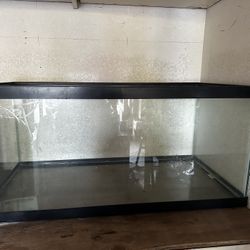 75 Gallon Tank With Python Cleaning System