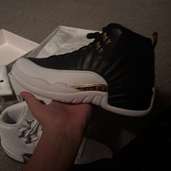 jordan 12 retro wingz (2016) OG all