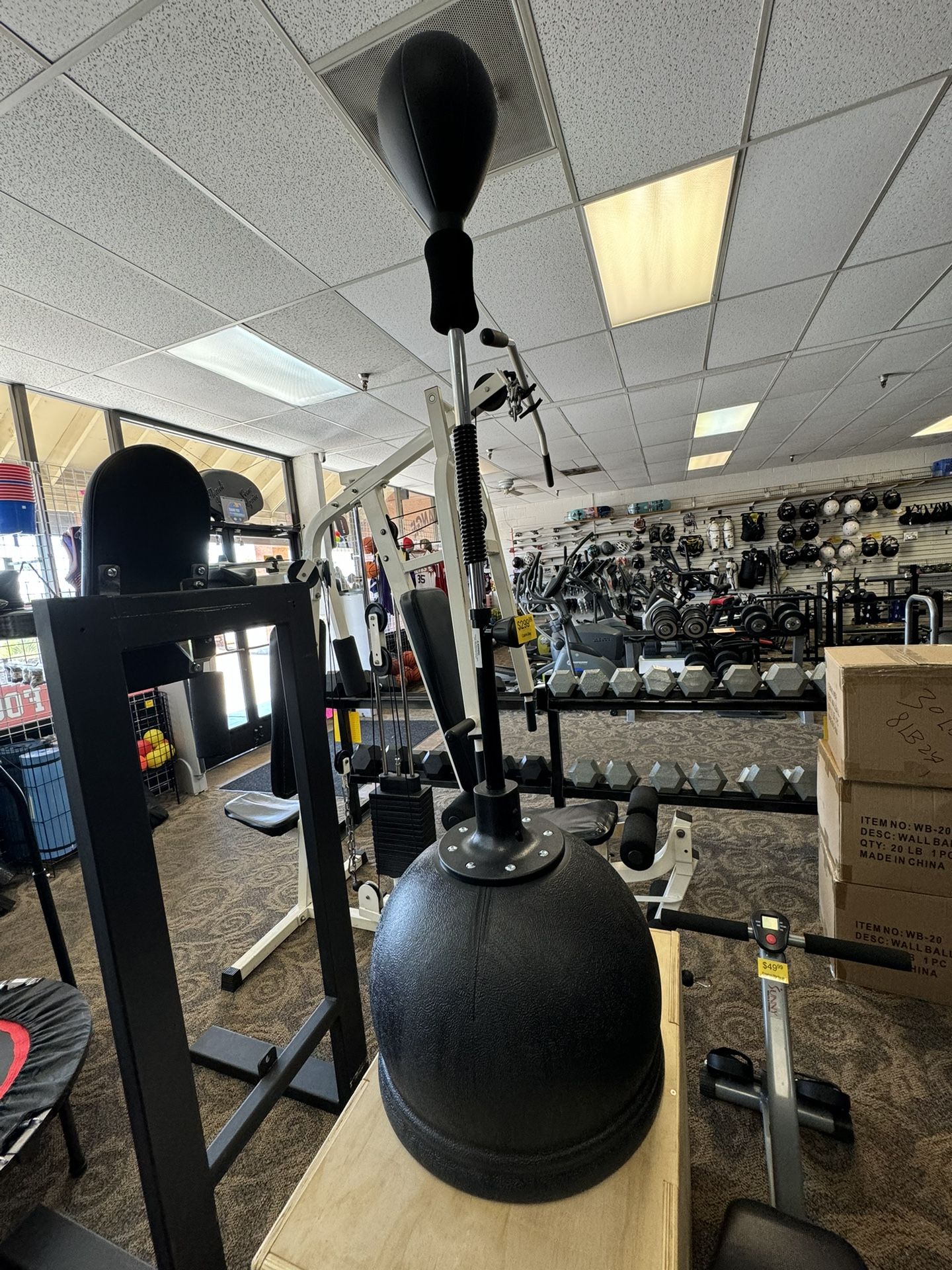 Ringside Cobra Bag