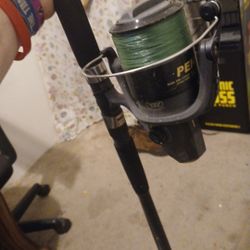  PENN Wrath II model Reel And Rod