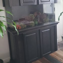 Fish Tank