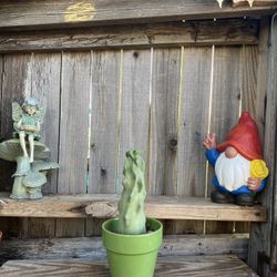 Skinny Totem Pole Cactus Plant