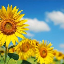 I Help Heal and Empower Ambitious Women Who Are