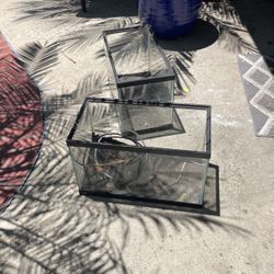 2x Ten Gallon Fish Tanks