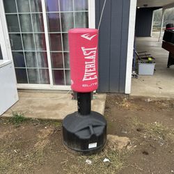 Everlast Standing Boxing Bag