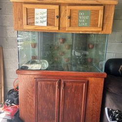 Fish Tank 