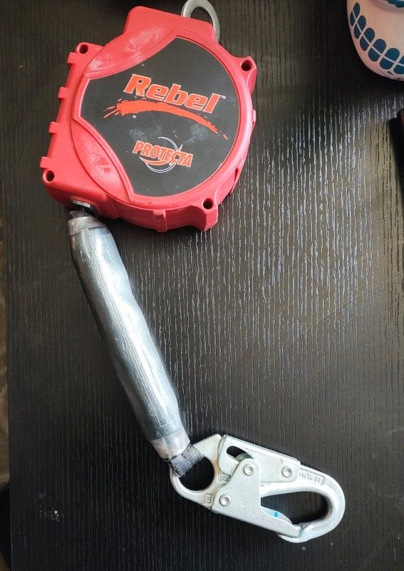 Web Snap Hook