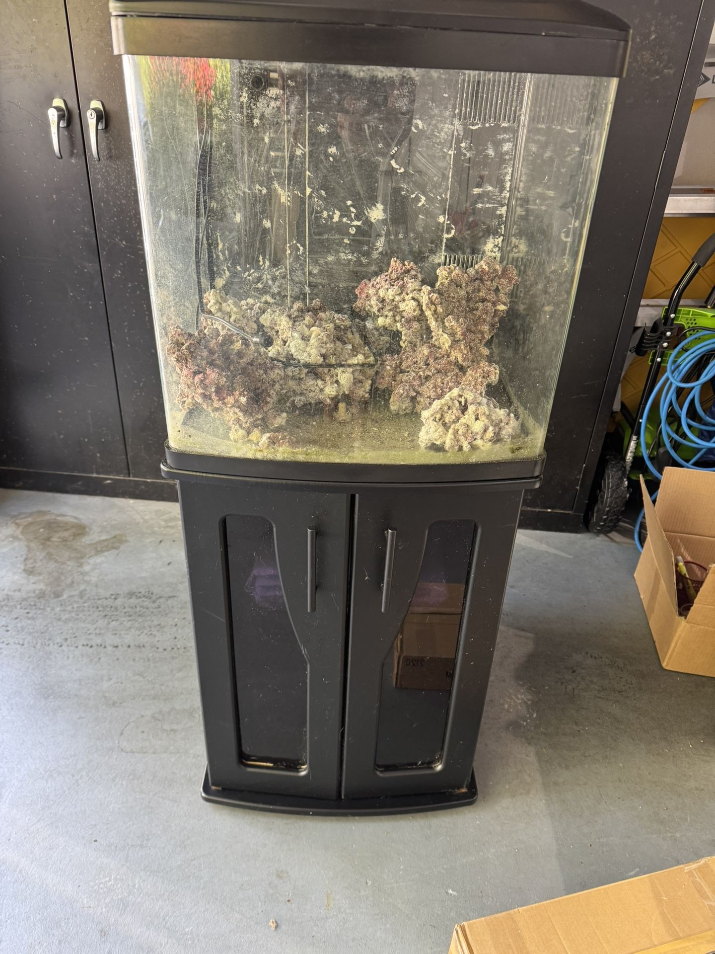 BioCube 32 Gallon