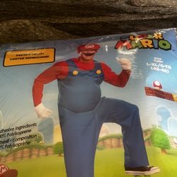 Brand New Mario And Luigi Costume Size L/xl
