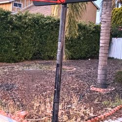 Basketball Court 