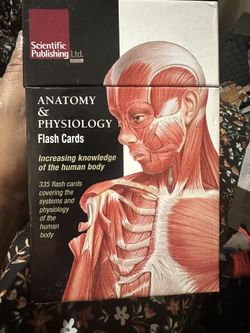 Anatomy Flash Cards For School Studies