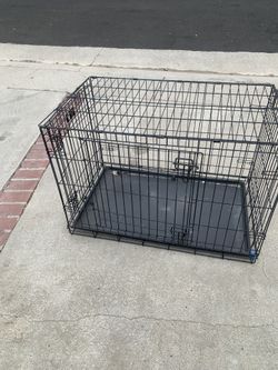 Dog Case $20