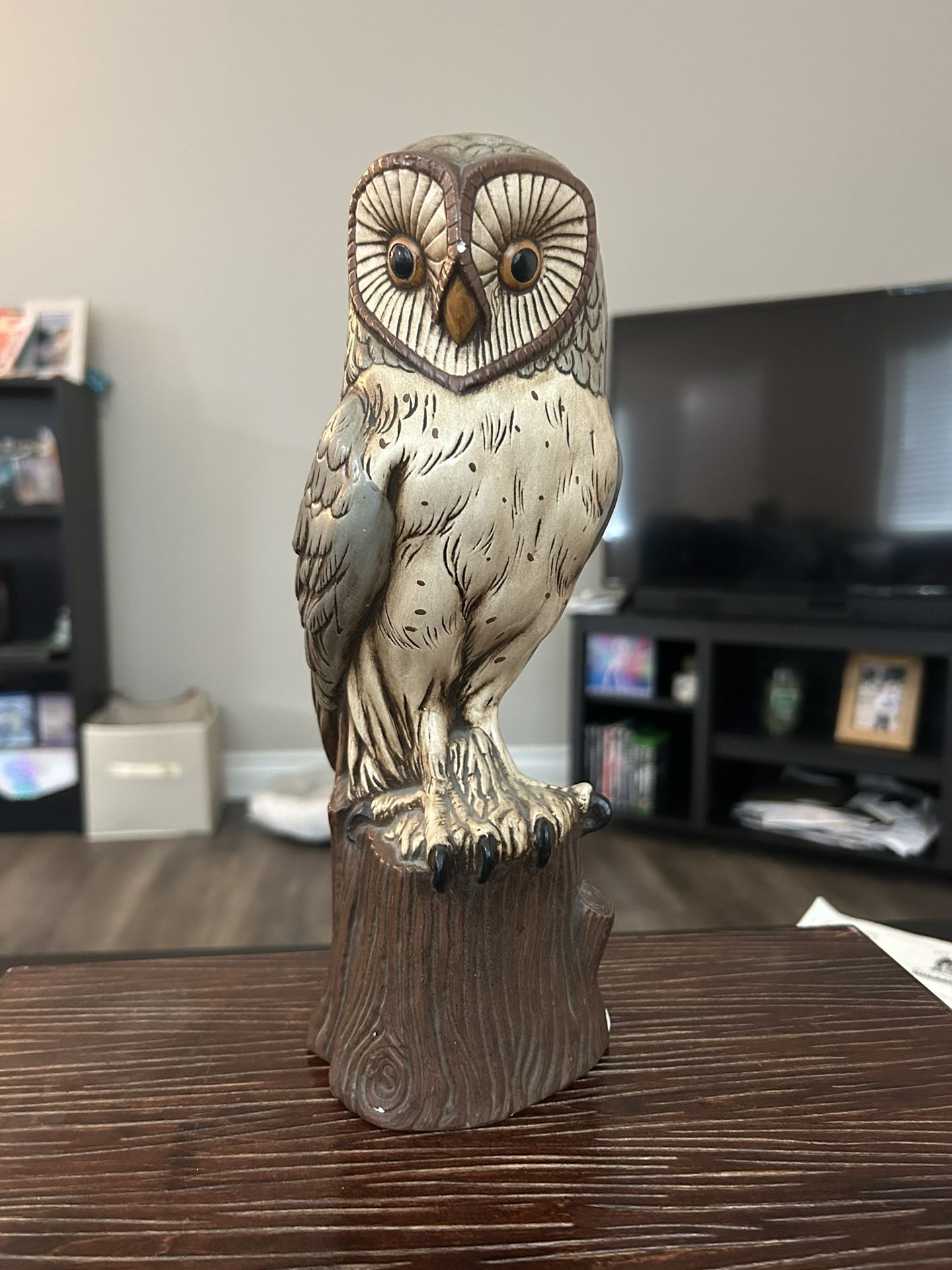 Owl Statute!